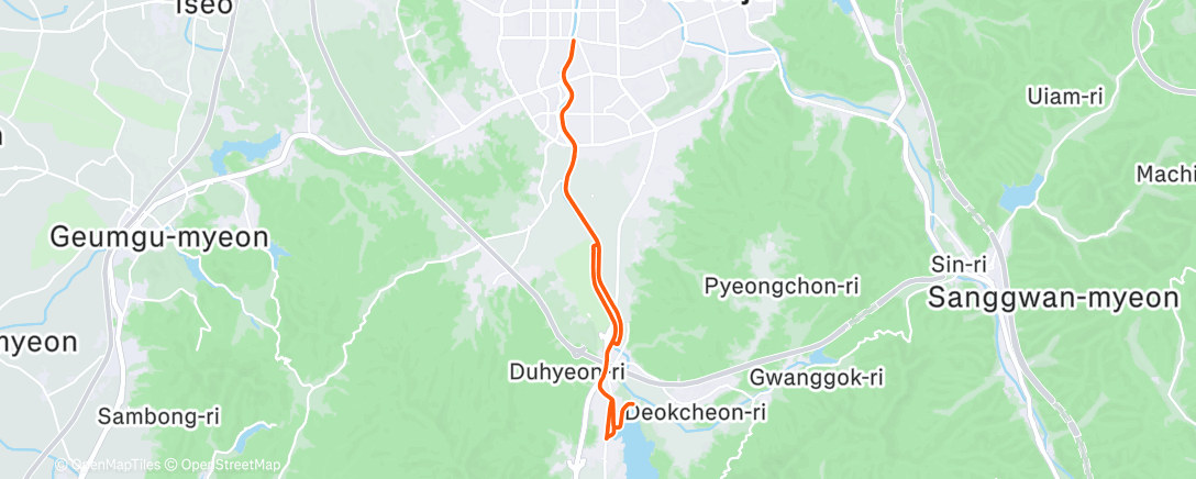 Map of the activity, Morning Run