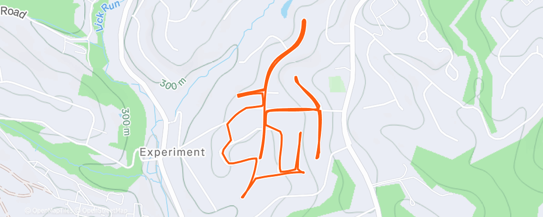 Карта физической активности (Morning Run)