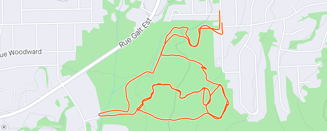 Map of the activity, Easy trail run