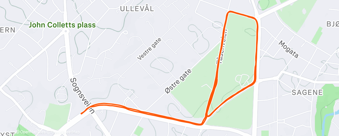 Map of the activity, Evening Run