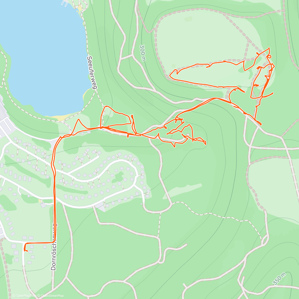 Карта физической активности (Discgolf)