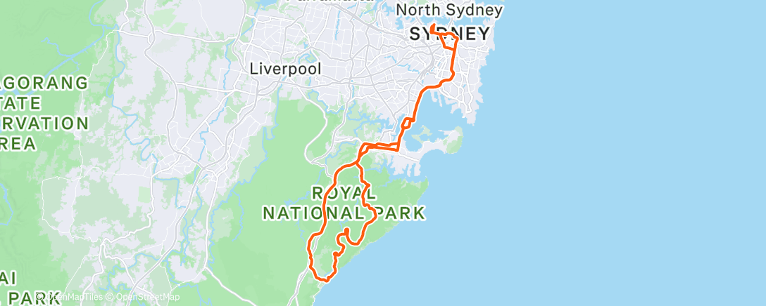 Mapa de la actividad (Sydney bunchie)