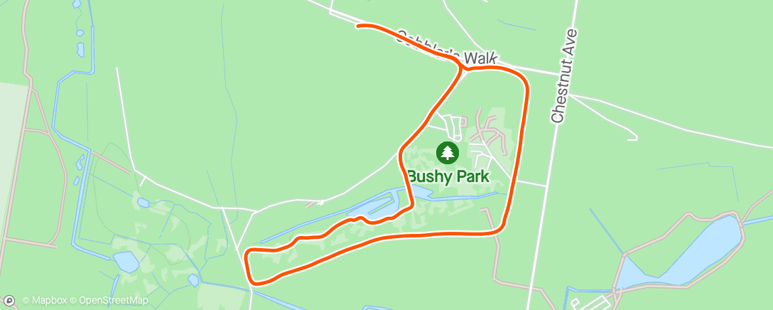 アクティビティ「Bushey Park walk」の地図