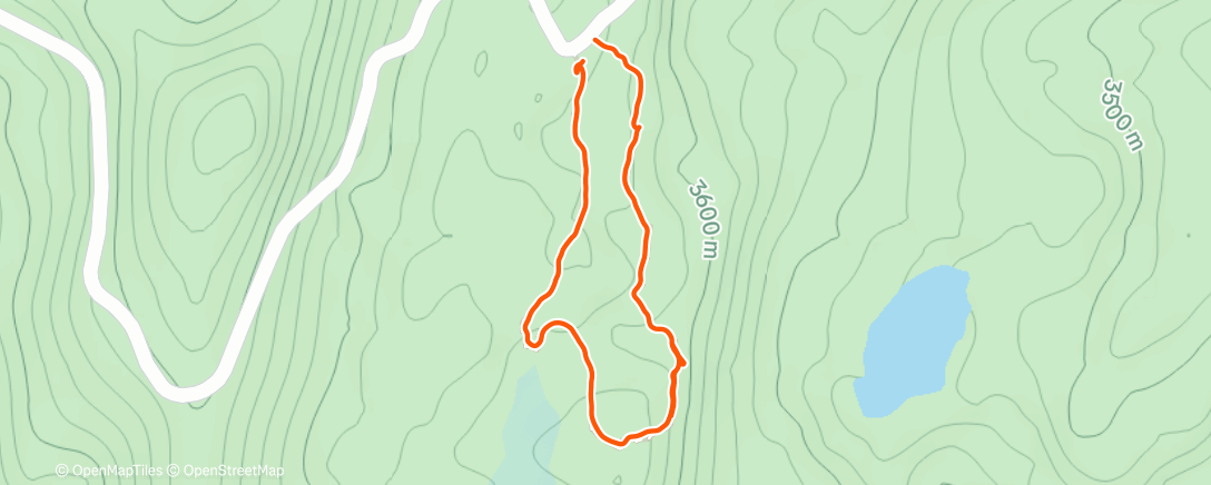 Map of the activity, Novena de aguinaldos