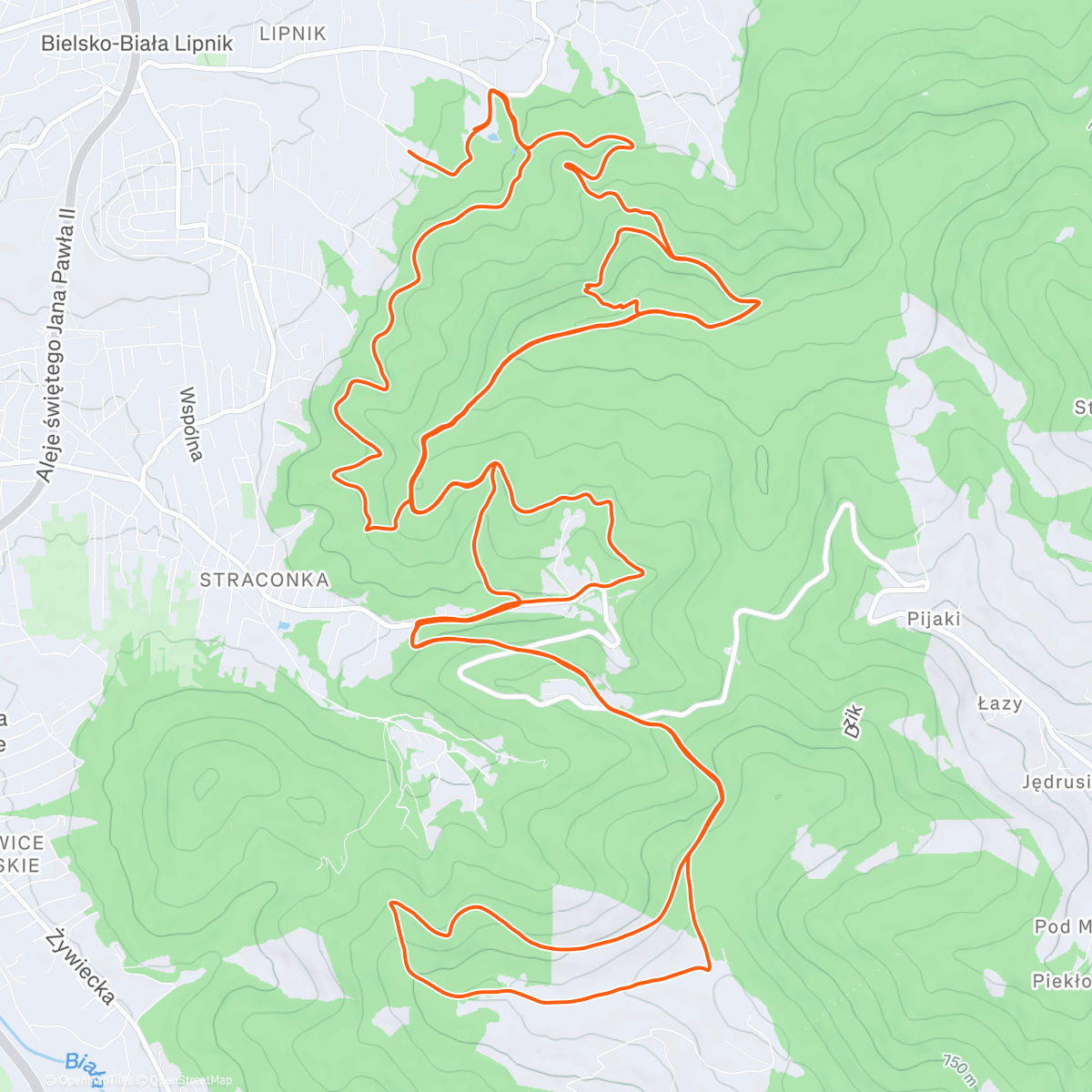 Карта физической активности (Morning Trail Run)