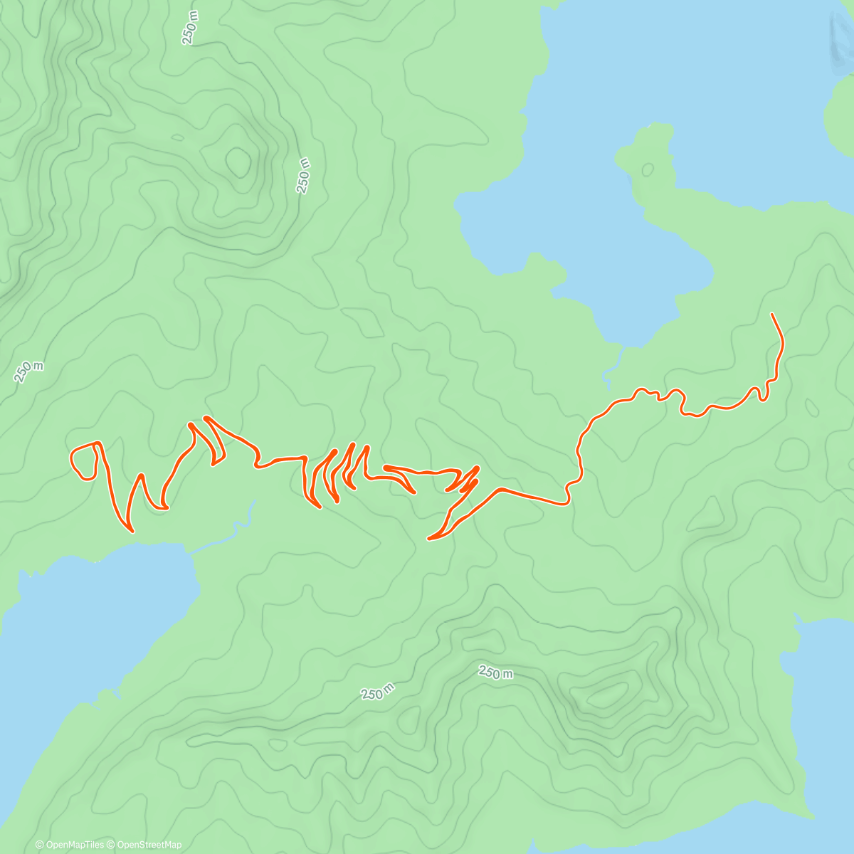 Map of the activity, TC SQ D9