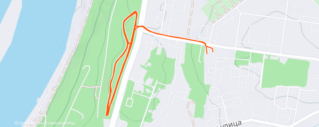 Карта физической активности (Evening Run)