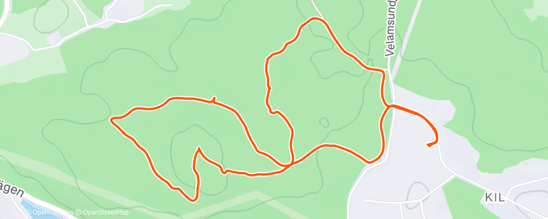 Карта физической активности (Afternoon Walk)