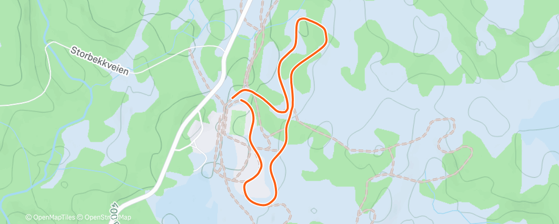 Карта физической активности (Lunch Nordic Ski)