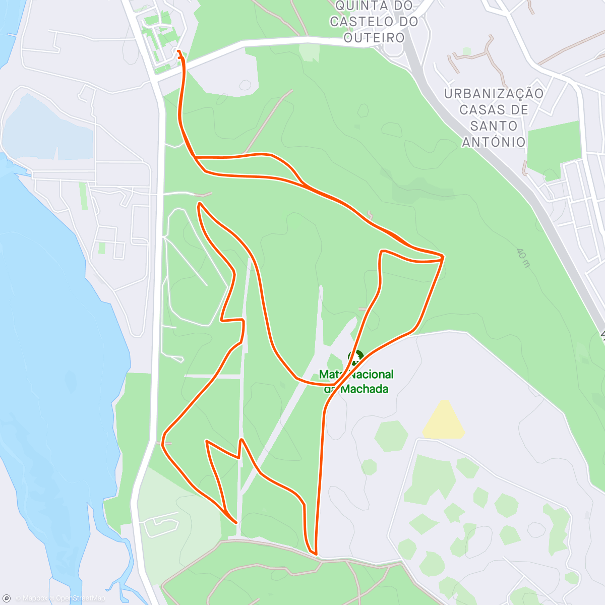 Map of the activity, Trail Run (041)