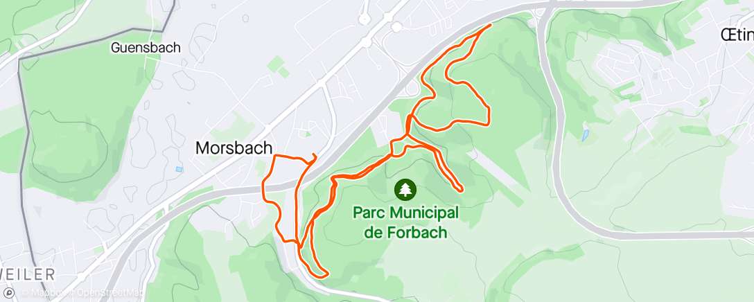 Map of the activity, Petit tour en forêt ! 🌳