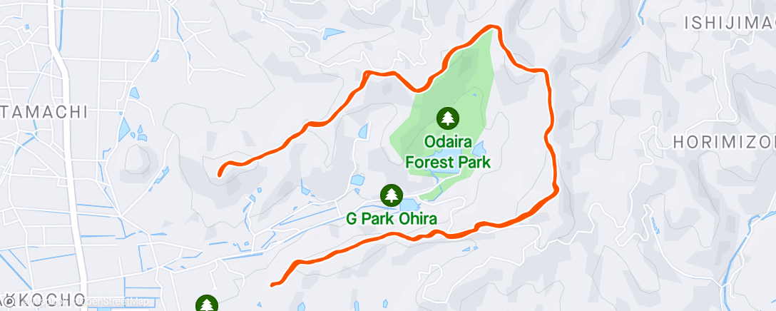 Map of the activity, Home 🏡 Trail 👣  Run 🏃‍♂️