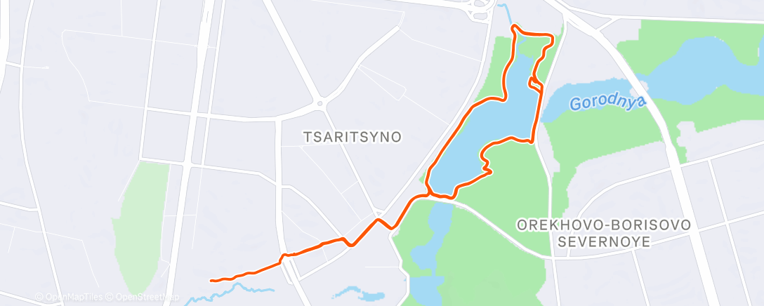 Карта физической активности (Полуденный забег)