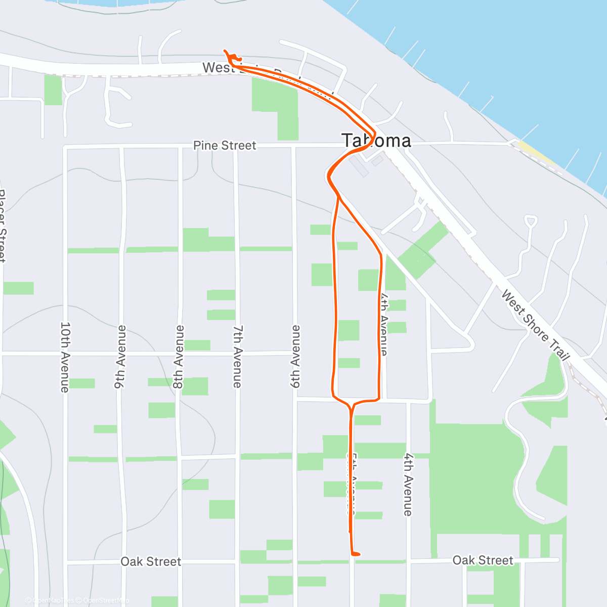 Карта физической активности (The walk to the market that included Caden finding a $100 bill in the snowbank 😳)