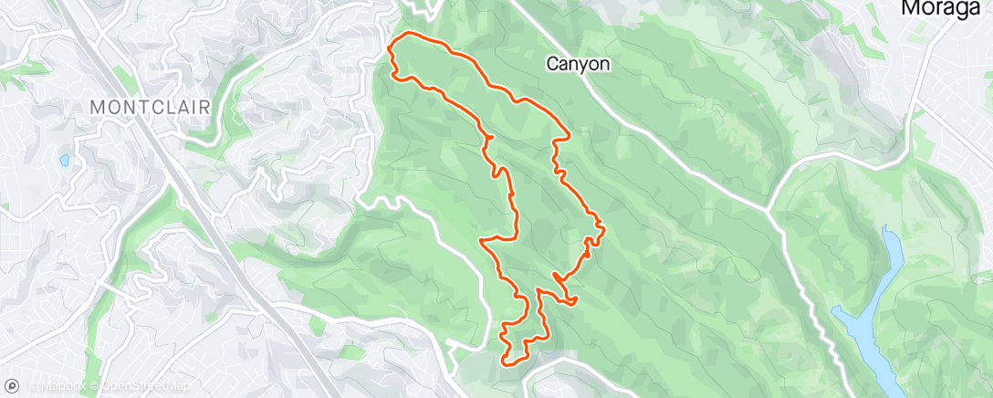 Map of the activity, Evening Trail Run + bonus mile