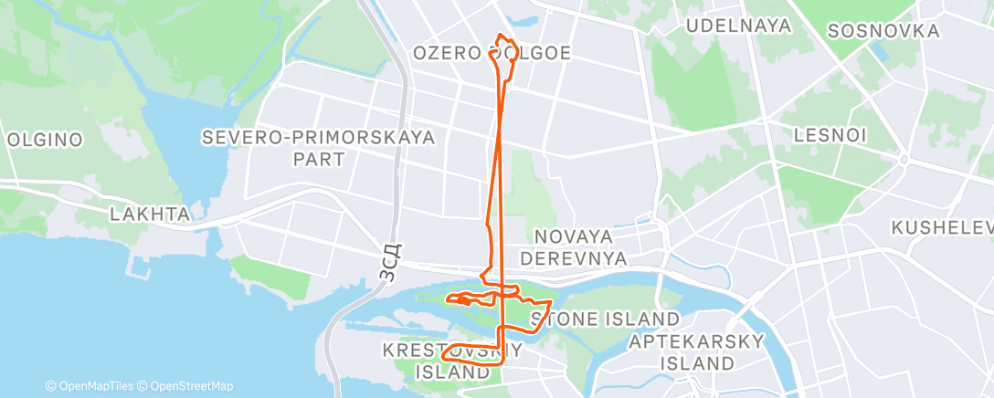 Карта физической активности (Дневной забег)