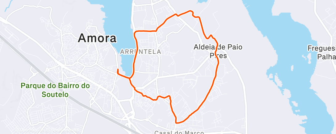 Карта физической активности (Easy Run + Strides)