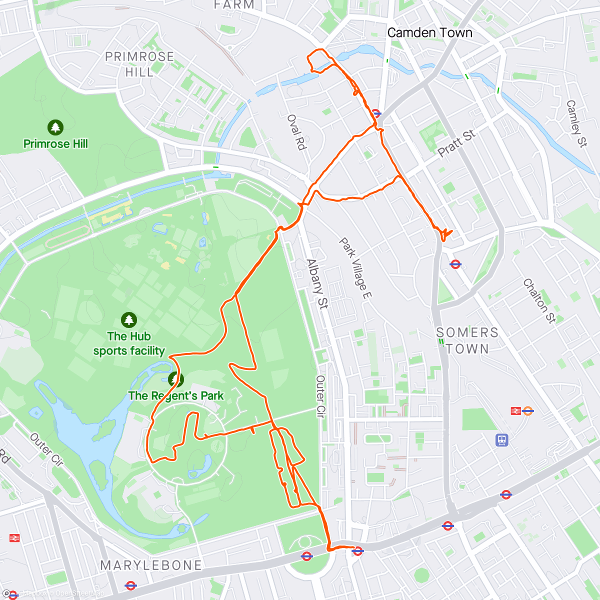 Map of the activity, 🌥️ Afternoon Walk