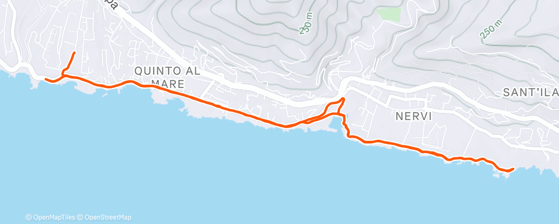 Map of the activity, Corsetta Natalizia