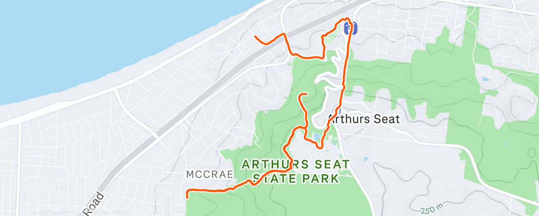 Карта физической активности (Dying in the heat 🥵🧟‍♀️)