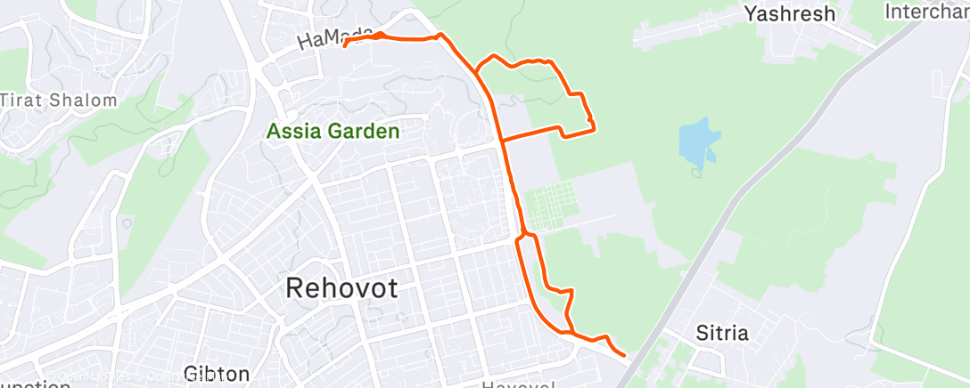 Карта физической активности (Afternoon Trail Run)