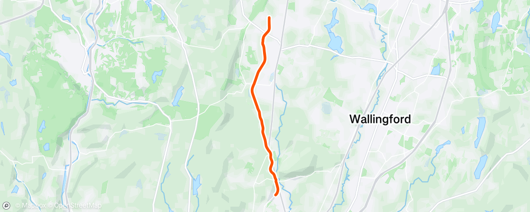 Map of the activity, Animal