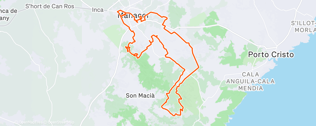 Карта физической активности (Actividad matinal)