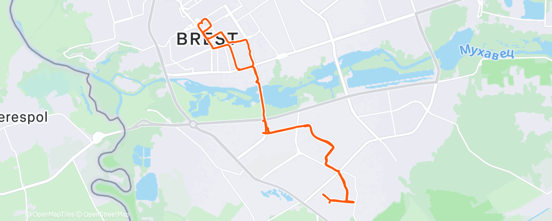 Map of the activity, Вечерний забег