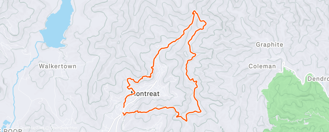 Карта физической активности (Morning Trail Run)