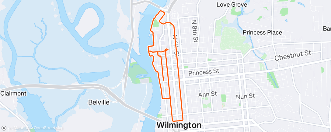 Map of the activity, Morning Run