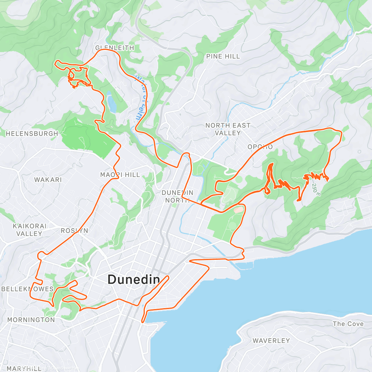 Mapa de la actividad (My head: business as usual. My knee: %149&$@#@!!!)