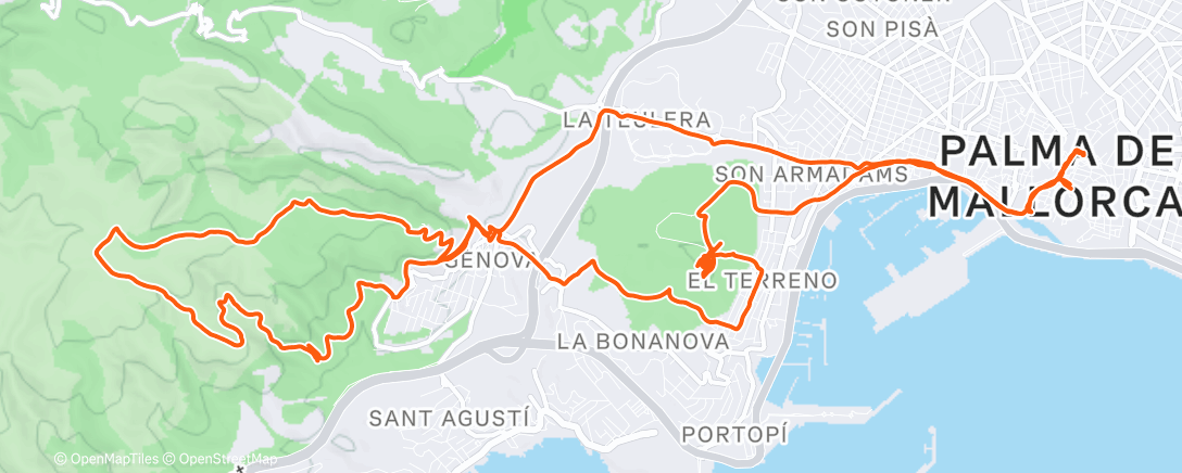 Map of the activity, Morning Walk