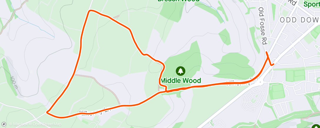 Map of the activity, Morning  dog Walk