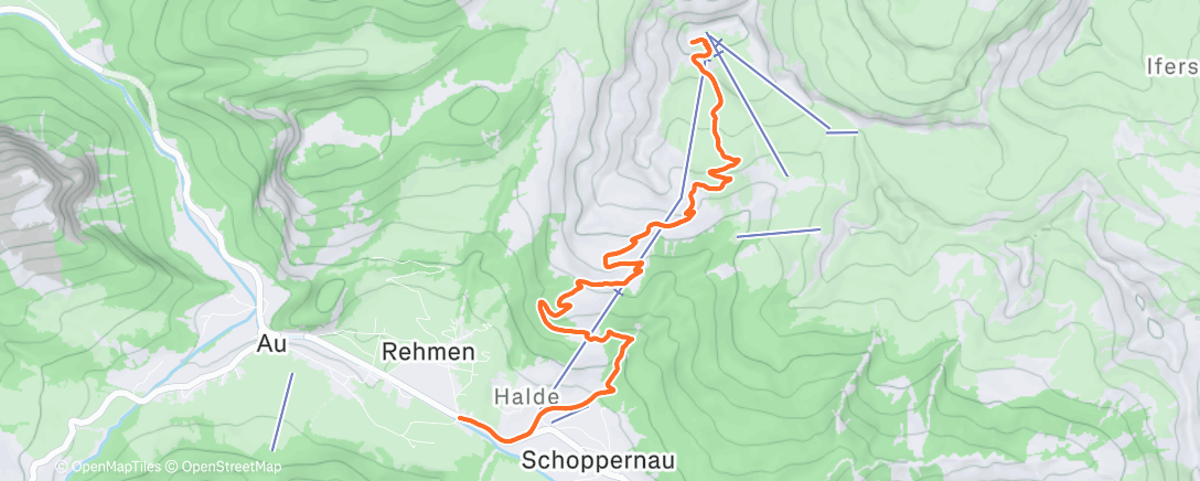 Карта физической активности (Morning Hike)