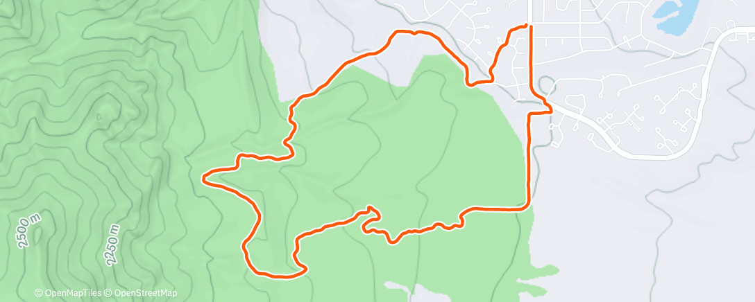 Карта физической активности (Afternoon Trail Run)