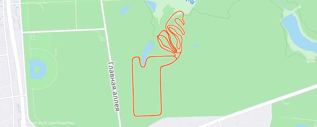 Map of the activity, Северный лыжный заезд (день)