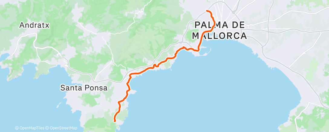 Карта физической активности (Follow the Rains 🏃‍♂️)