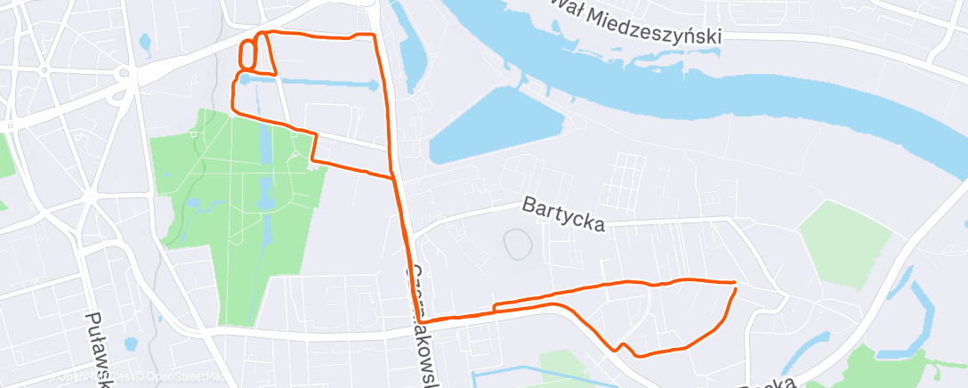 Карта физической активности (Afternoon Run)