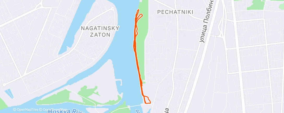 Карта физической активности (Дневной забег)