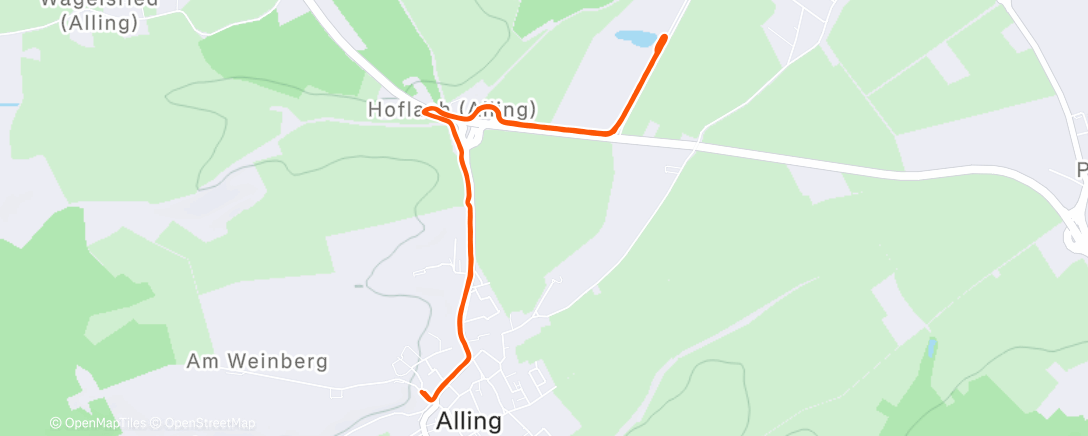 Карта физической активности (Warm-up to 2025 show-down 🔥🏃‍♀️🥳)