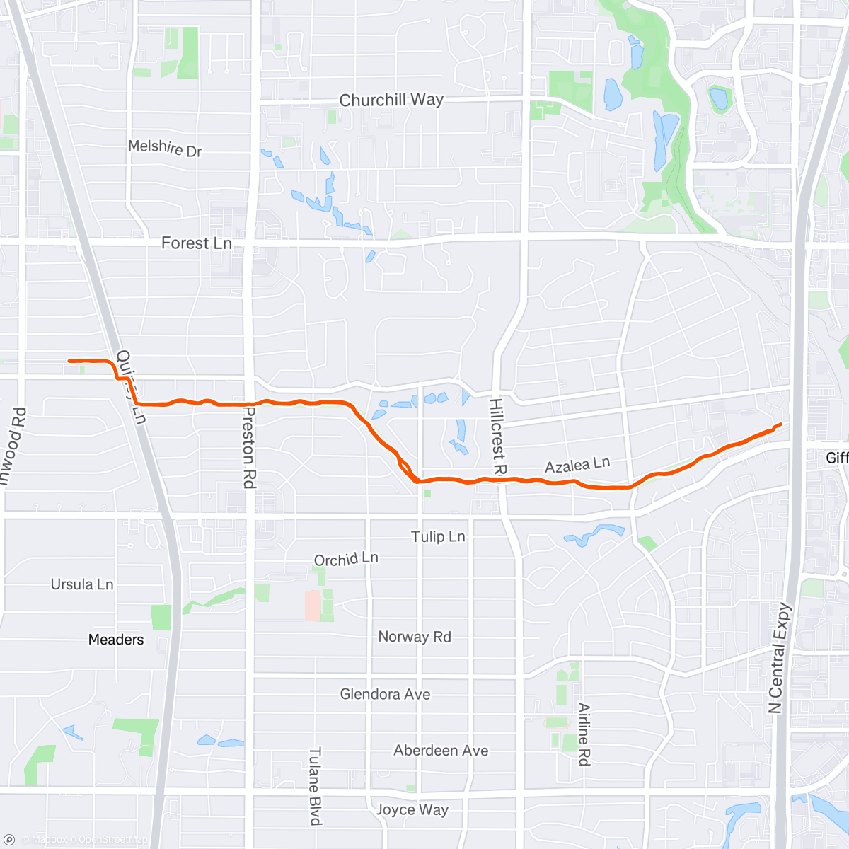 Map of the activity, Last regular run pre Dallas shakeout on Saturday …..plus NY bagels to start the carb load process