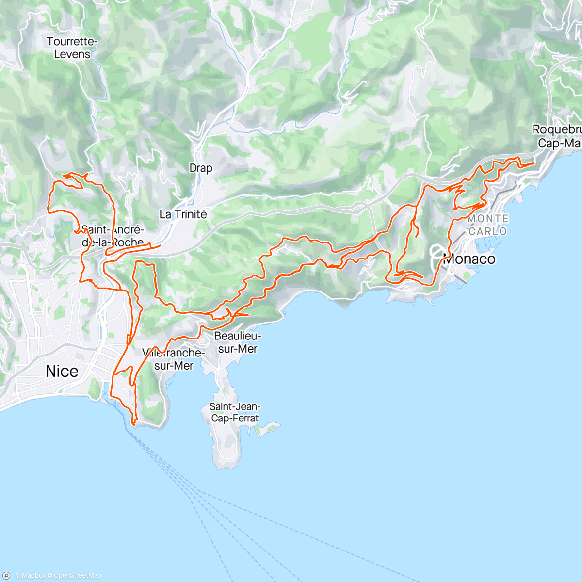 Map of the activity, Gut training