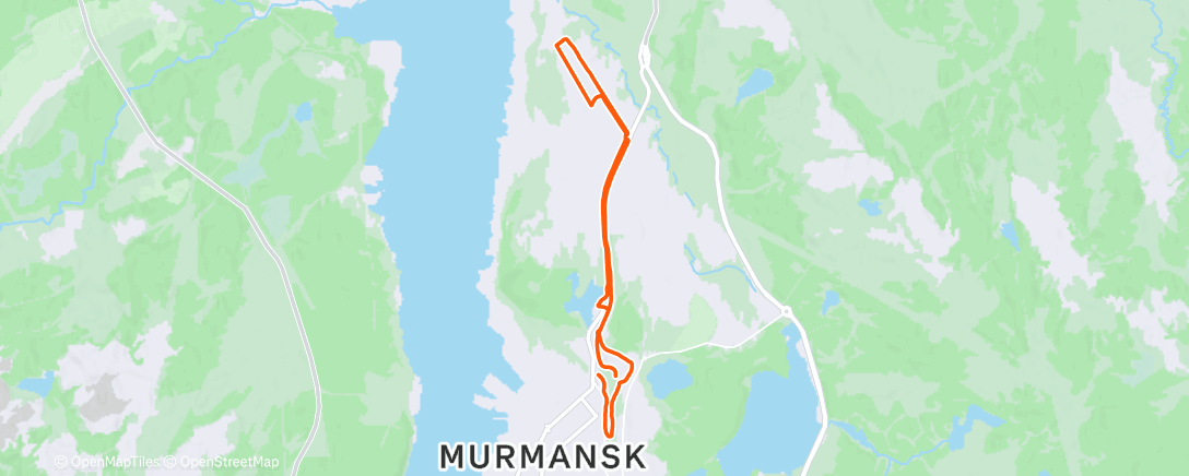 Карта физической активности (Дневной забег)