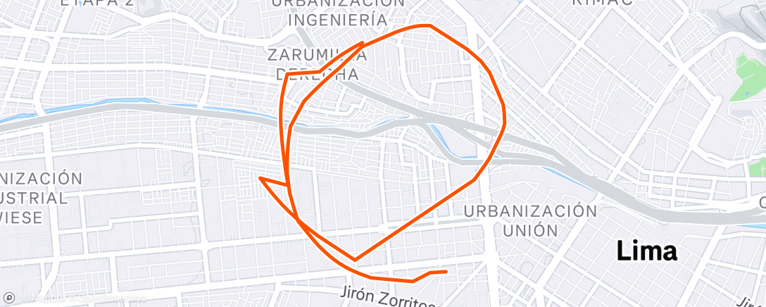 Карта физической активности (Night Trail Run)