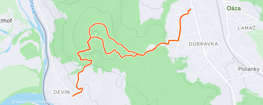 Map of the activity, Morning Run