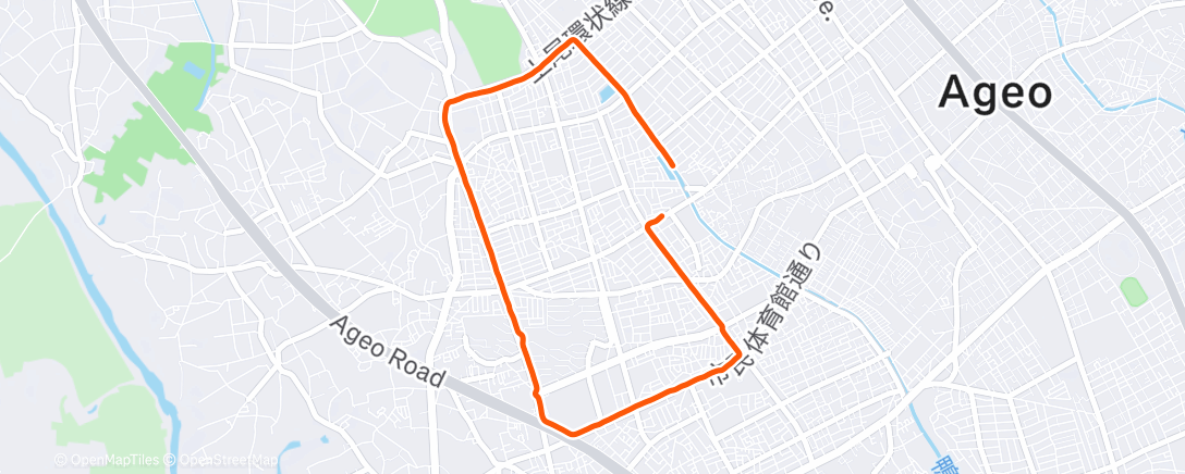 Map of the activity, Morning Run