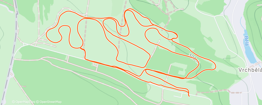 Карта физической активности (Motanec)