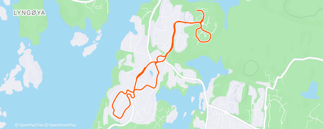 Map of the activity, 7 km