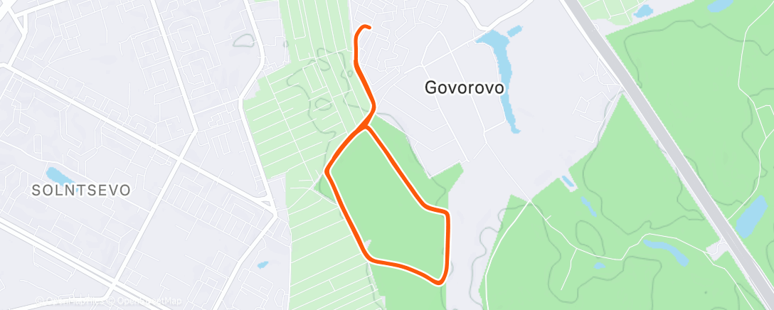 Карта физической активности (Утренняя прогулка)