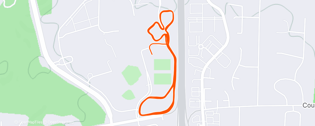 Карта физической активности (Lunch Run)